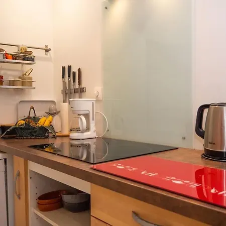 Oustal De Pape Le Calme Au Coeur De Mirepoix (Ariege)