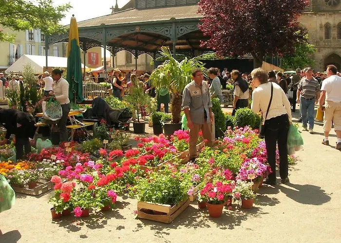 아파트 Oustal De Pape Le Calme Au Coeur De 미르포아